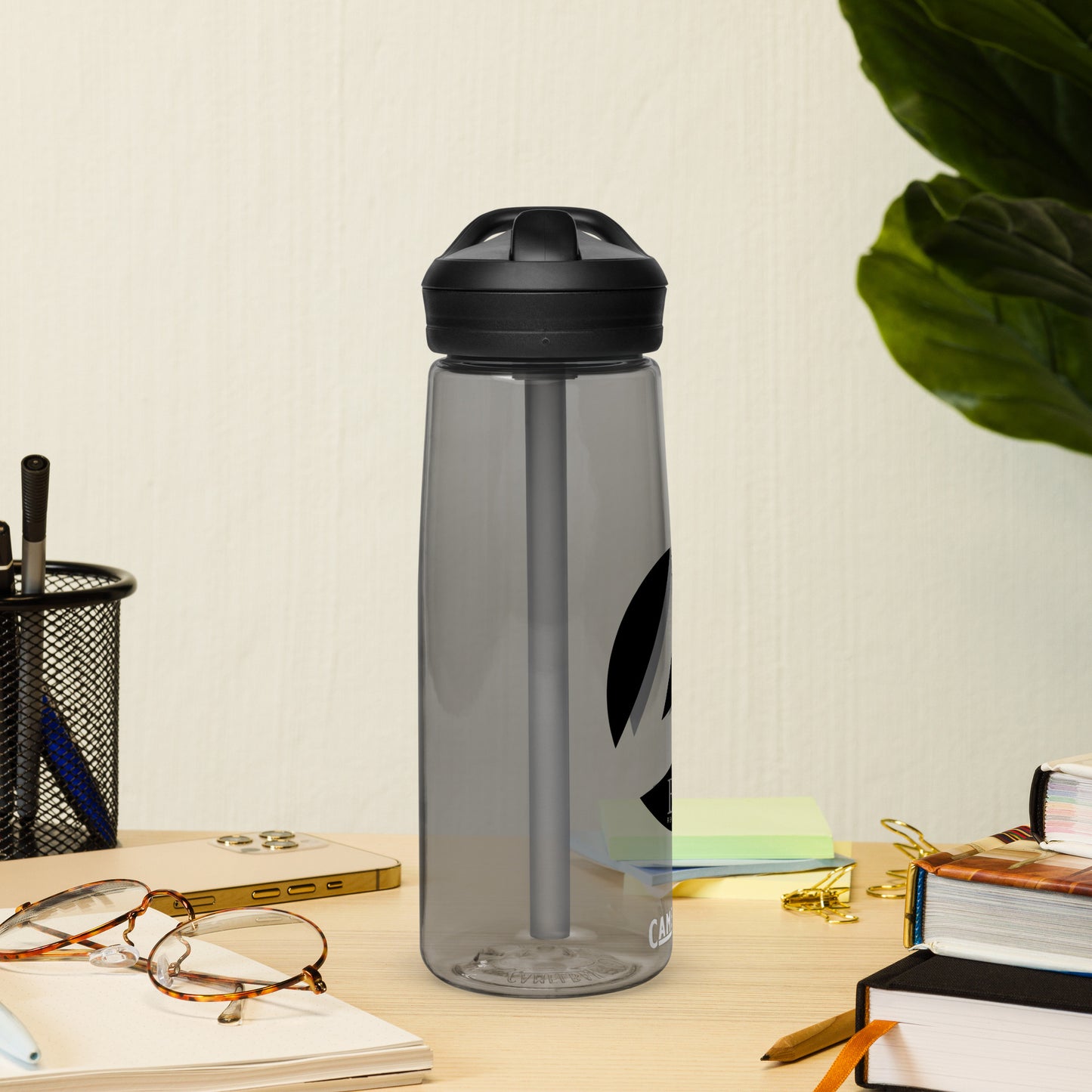 Sports water bottle