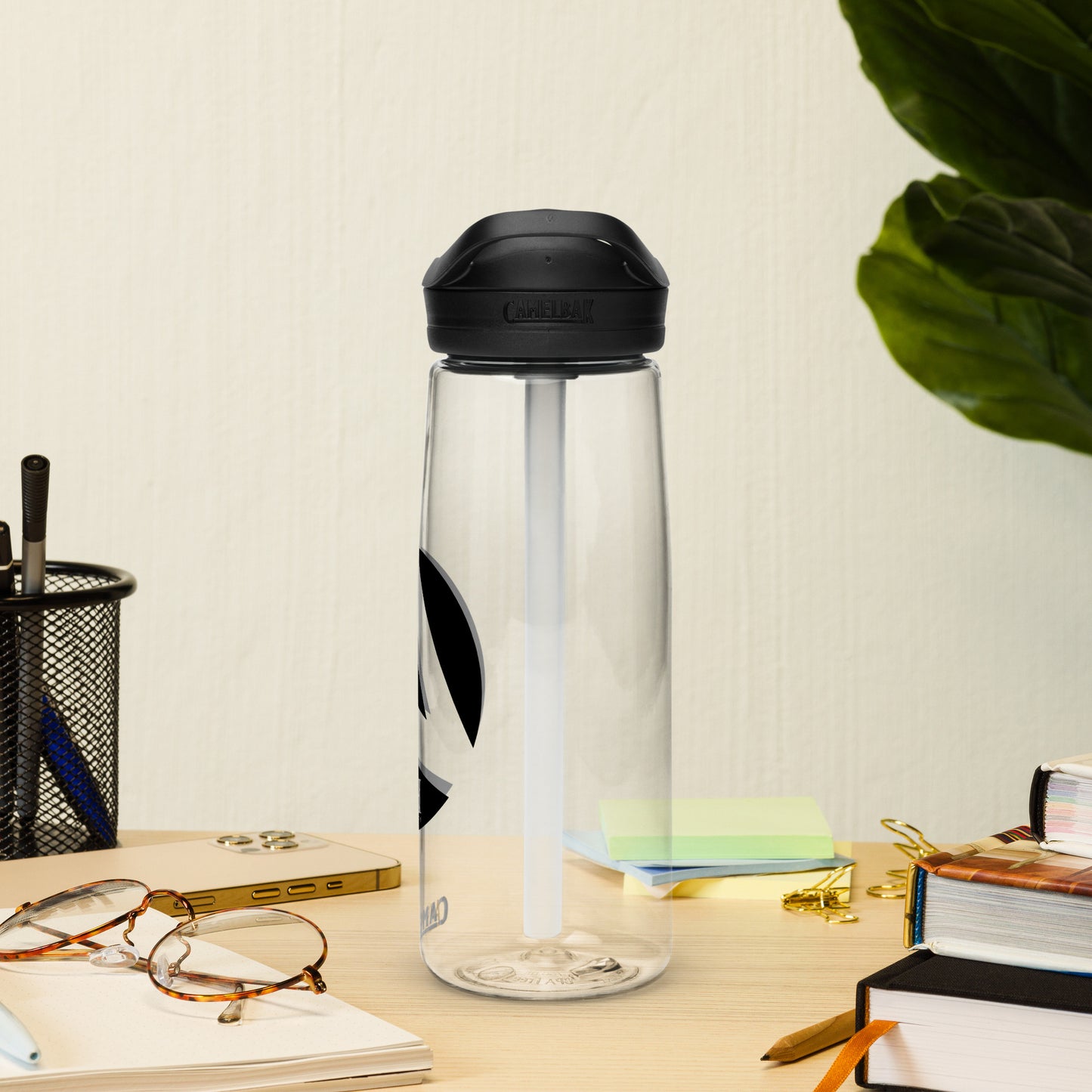 Sports water bottle